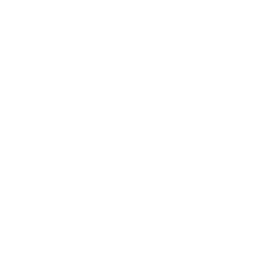 ícone