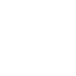 ícone