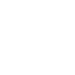 ícone