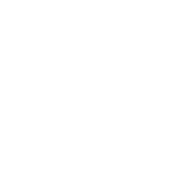 ícone
